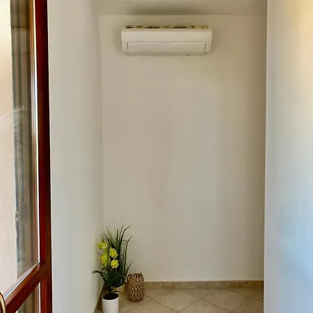 公寓 Casa Celeste 奥尔贝泰洛